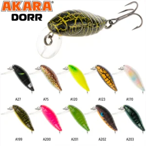 Akara Dorr